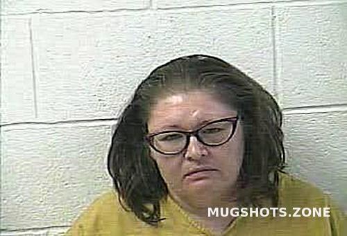 SPARKS KRISTINA RENEE 01 27 2024 Daviess County Mugshots Zone