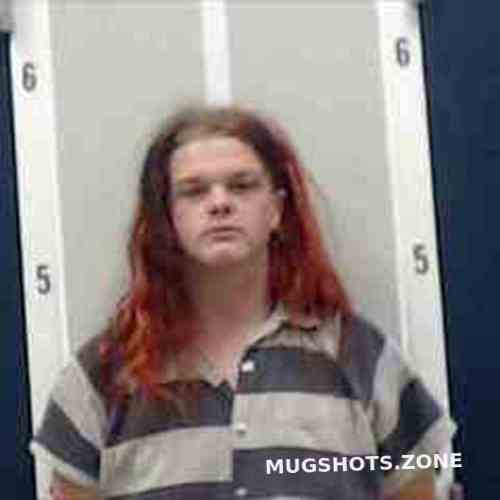 Dalton Jenkins Dekalb County Mugshots Zone