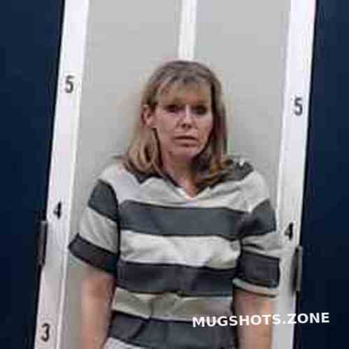 BARBARA WOMACK 11 18 2022 DeKalb County Mugshots Zone