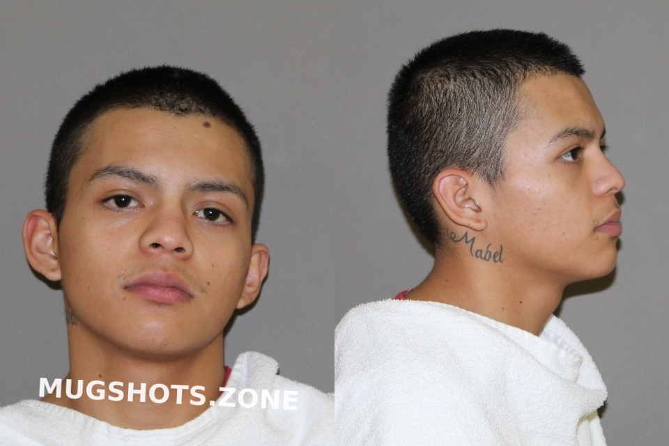 GOMEZ ACOSTA LUIS DANIEL 01 05 2021 Denton County Mugshots Zone