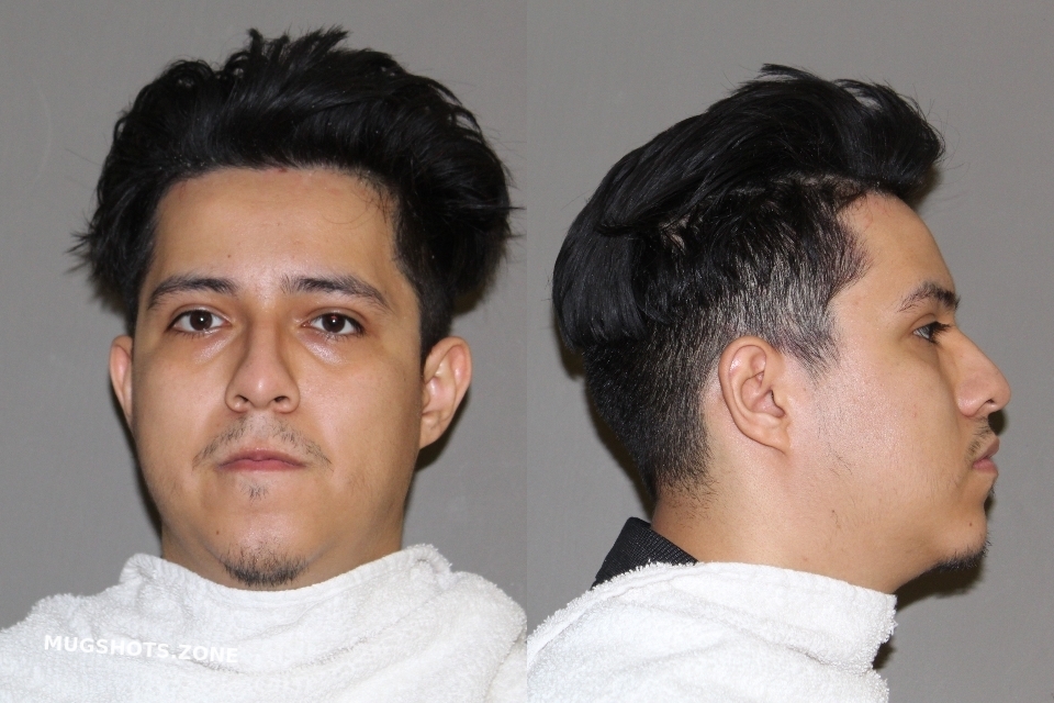 Ortega Axel Denton County Mugshots Zone