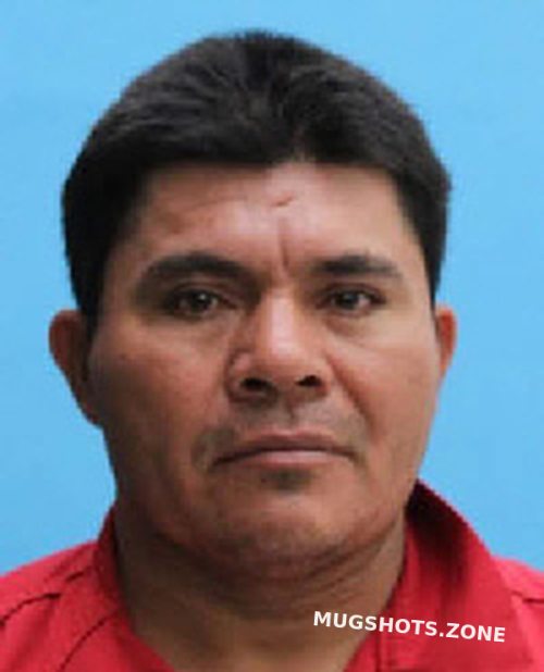 HERNANDEZ MANUEL 06 04 2024 Desoto County Mugshots Zone