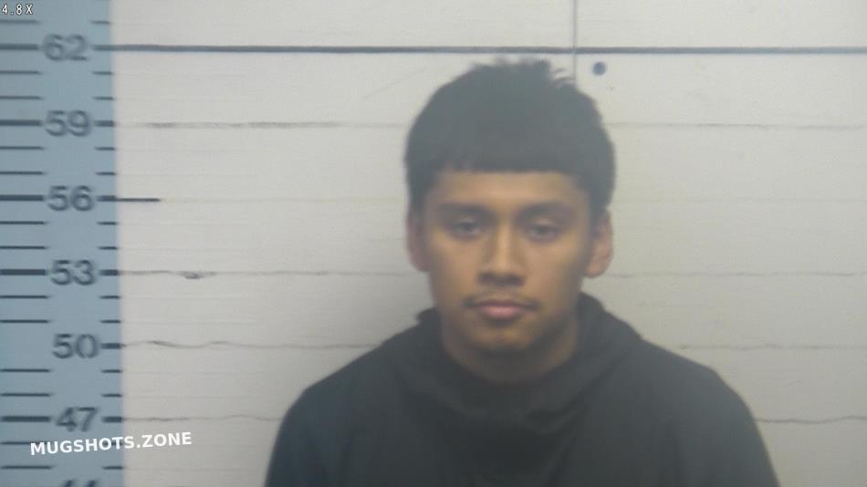 Gomez Jason Carrillo Desoto County Mugshots Zone