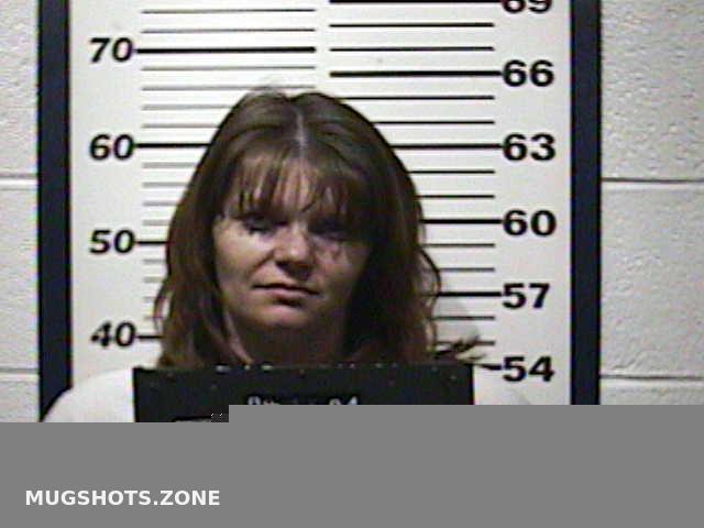 Burleson Ginger Ann Dickinson County Mugshots Zone