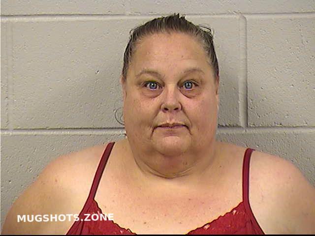 Coats Shelly Ann Dickinson County Mugshots Zone