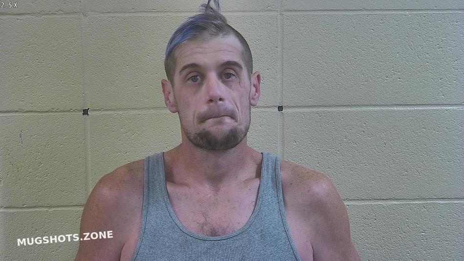 Freeman Craig Nathaniel Dubois County Mugshots Zone