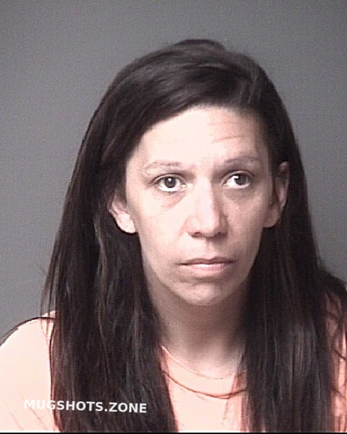 Cook Stephanie Christine Dubuque County Mugshots Zone