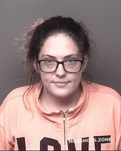 PETERSON SAMANTHA NICOLE 11 18 2022 Dubuque County Mugshots Zone