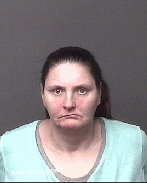 Cook Alicia Marie Dubuque County Mugshots Zone