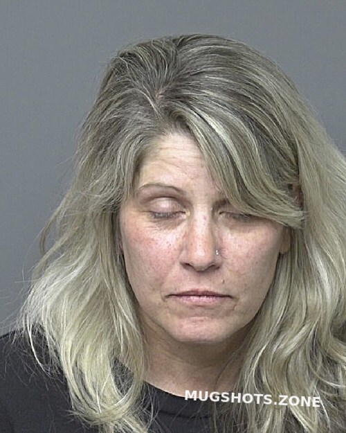 Sipe Amy Diane Dubuque County Mugshots Zone