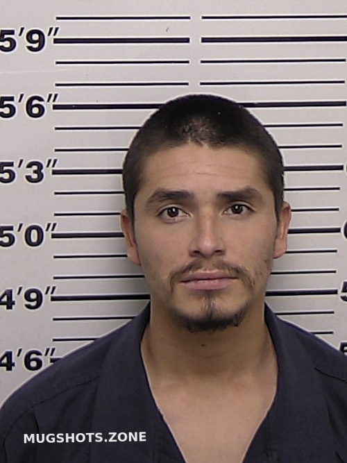 Hernandez Angel Gabriel Eddy County Mugshots Zone