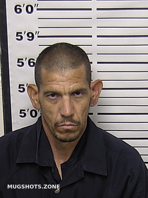 Renteria Orlando Jose Eddy County Mugshots Zone