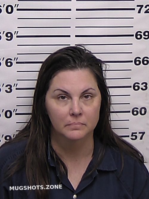 Bauer Stacey L Eddy County Mugshots Zone