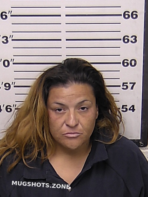 Navarro Erika M Eddy County Mugshots Zone