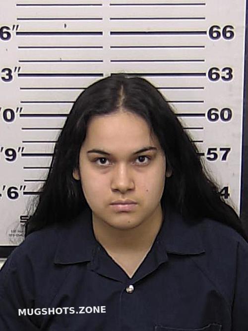 Sanchez Eryka Eddy County Mugshots Zone