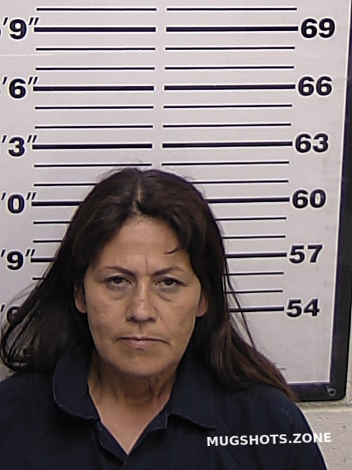 LUCERO ELIZABETH VIOLA 01 31 2023 Eddy County Mugshots Zone