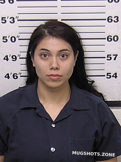 Perez Alexis Michelle Eddy County Mugshots Zone