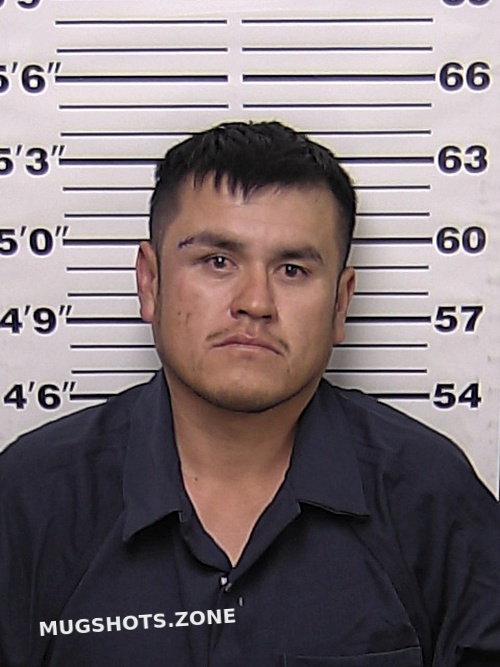 Vironche Fabian Viernes Eddy County Mugshots Zone