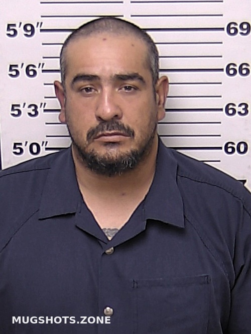 Molina Jorge Arturo Eddy County Mugshots Zone