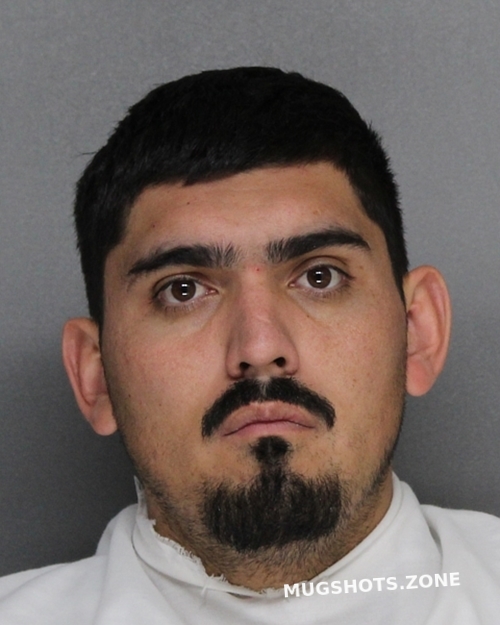 HIDALGO VICTOR MANUEL 04 11 2022 Ellis County Mugshots Zone