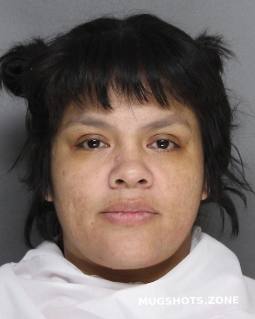 Ramirez Mariloz Ellis County Mugshots Zone