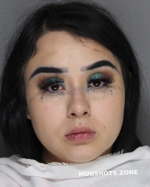 Alvarado Roxanne Ellis County Mugshots Zone