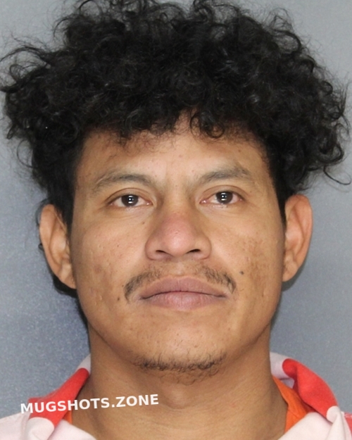 BONILLA JOSE LUIS 03 21 2024 Ellis County Mugshots Zone