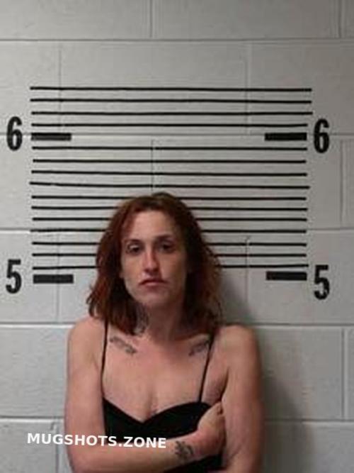 AMANDA HAYES 03 14 2023 Elmore County Mugshots Zone