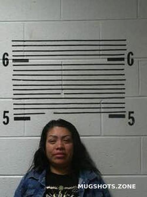 AMALIA GABRIEL 10 07 2023 Elmore County Mugshots Zone