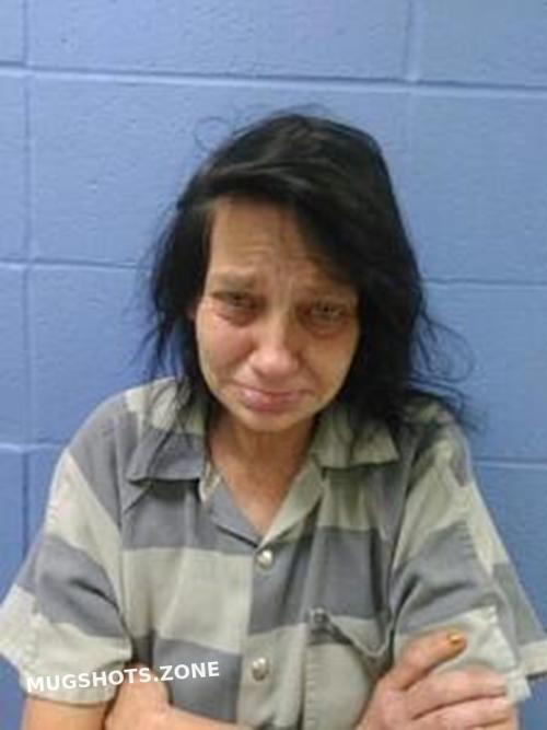 Dawn Haggins Faulkner County Mugshots Zone