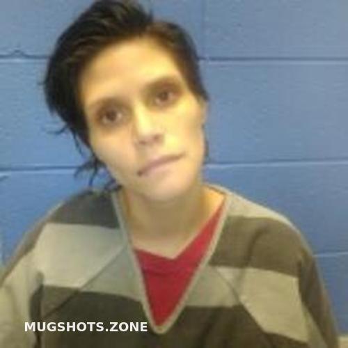 Kelsey Cook Faulkner County Mugshots Zone