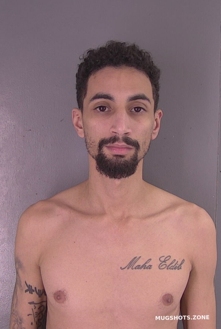 Metwally Tarik Sayed Fauquier County Mugshots Zone