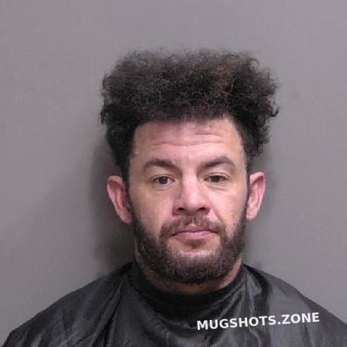 Romero Adamis Flagler County Mugshots Zone