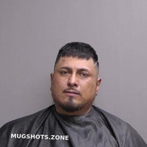 Aragon Ortiz Luis Enrique Flagler County Mugshots Zone