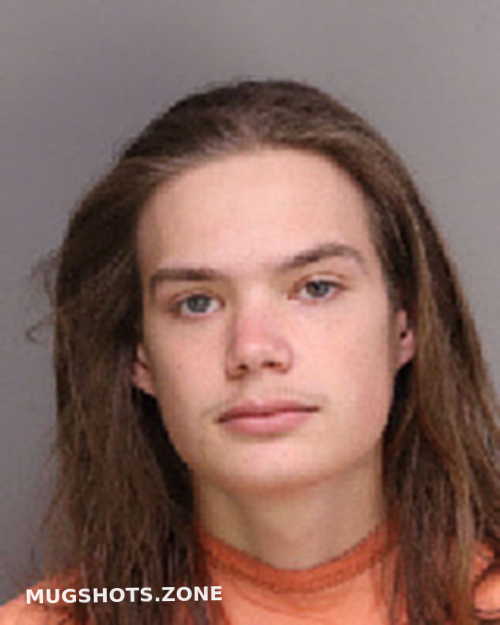 BROACH GABRIEL MICHAEL 02 11 2022 Florence County Mugshots Zone