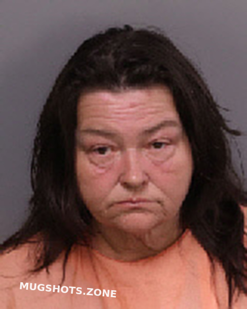 Poston Vickie Lynn Florence County Mugshots Zone