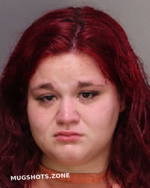 Hodge Breanna Nicole Florence County Mugshots Zone