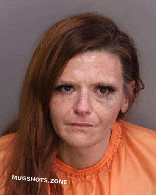 Hodge Jennifer Shea Florence County Mugshots Zone