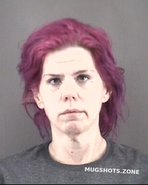 Wooten Melinda Ann Forsyth County Mugshots Zone