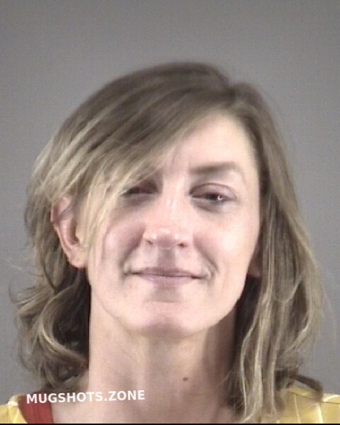 Meador Faye Larkin Forsyth County Mugshots Zone