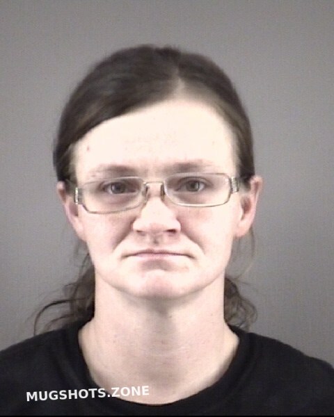 Clayton Kryssy Michelle Forsyth County Mugshots Zone