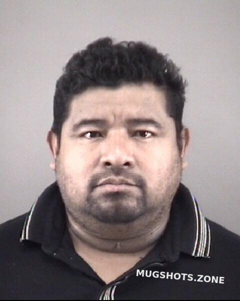 Mendez Felix Luna Forsyth County Mugshots Zone