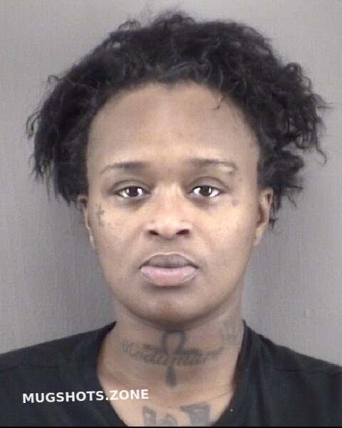 BRINSON KIMBERLY AUNISE 12 29 2023 Forsyth County Mugshots Zone