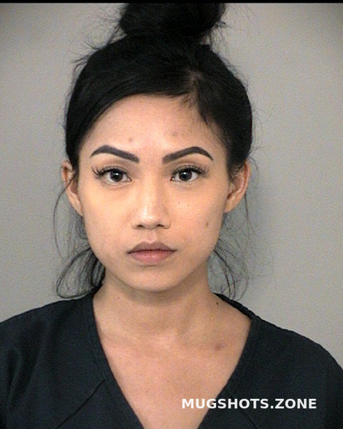 Huynh Grace Nguyen Fort Bend County Mugshots Zone