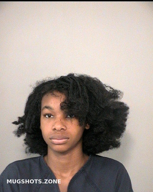 BRODANEX ANGEL 11 23 2022 Fort Bend County Mugshots Zone