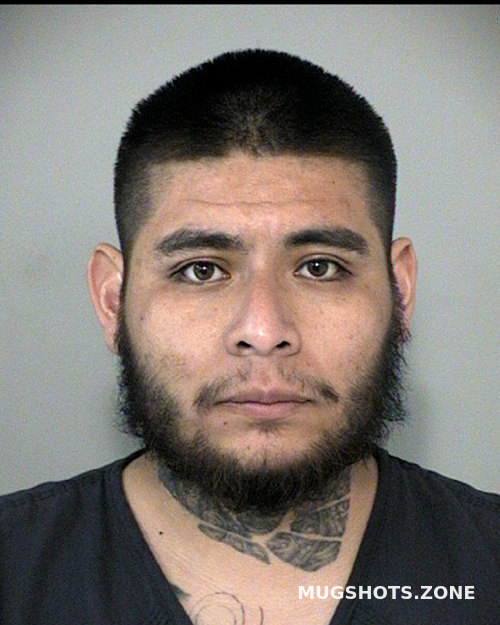 Zuniga Gonzalez Ismael Fort Bend County Mugshots Zone