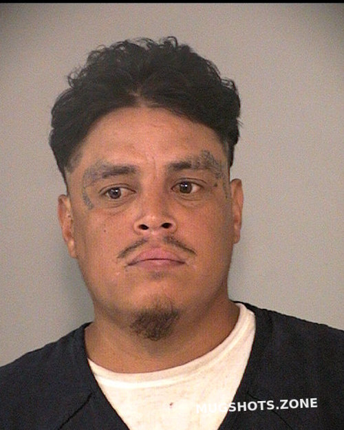 Fernandez Delgado Francisco Fort Bend County Mugshots Zone