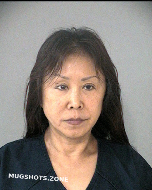 Chen Wei Fort Bend County Mugshots Zone