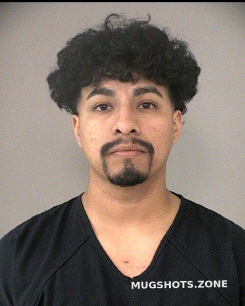 CASTILLO ANGEL 01 19 2024 Fort Bend County Mugshots Zone