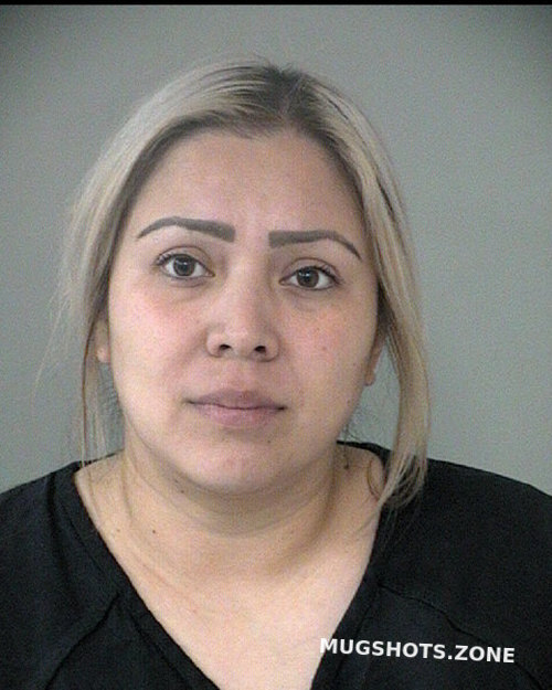 Garcia Michelle Fort Bend County Mugshots Zone